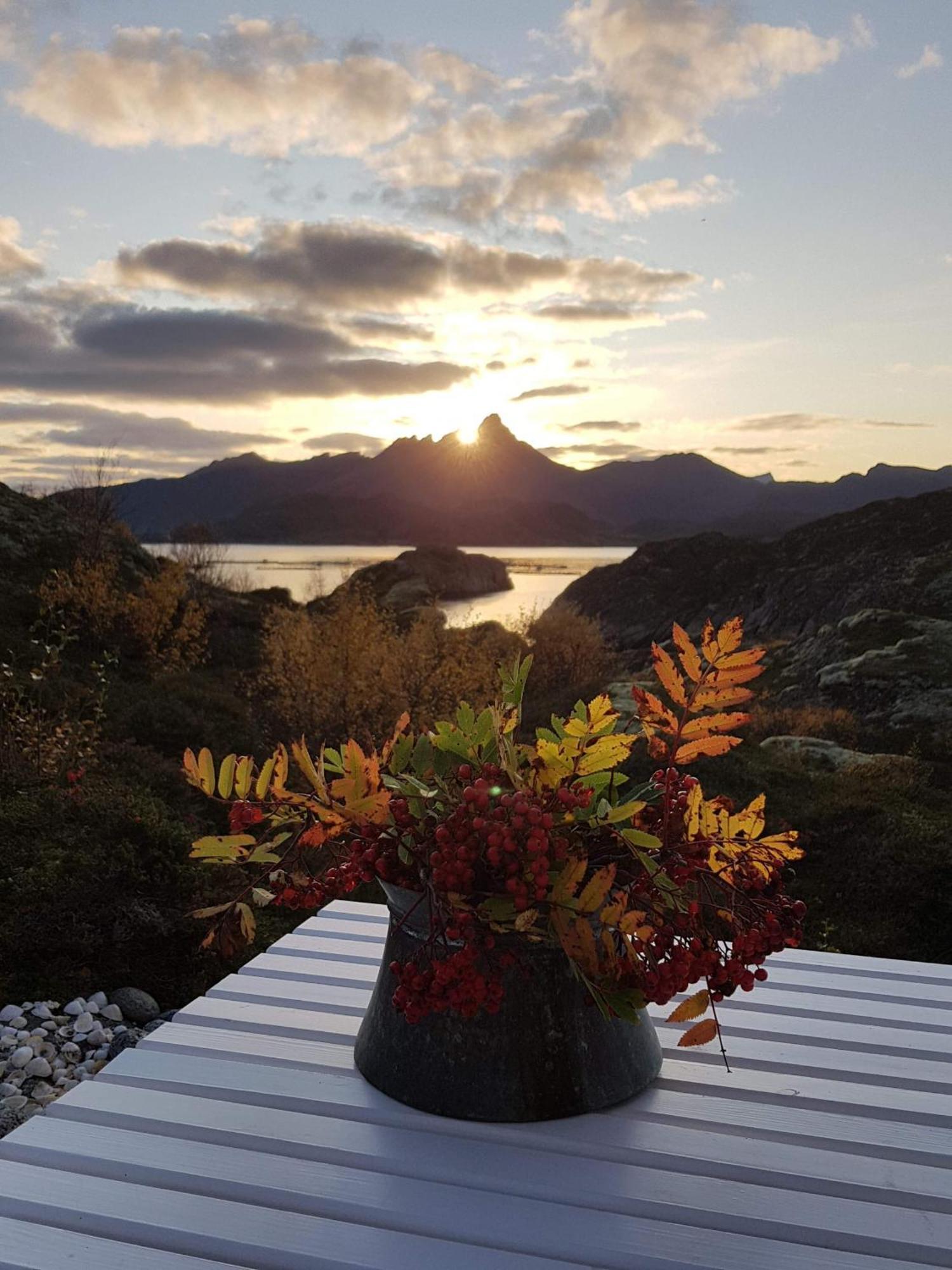 Unique Private Cabin In Lofoten Leknes Exterior photo